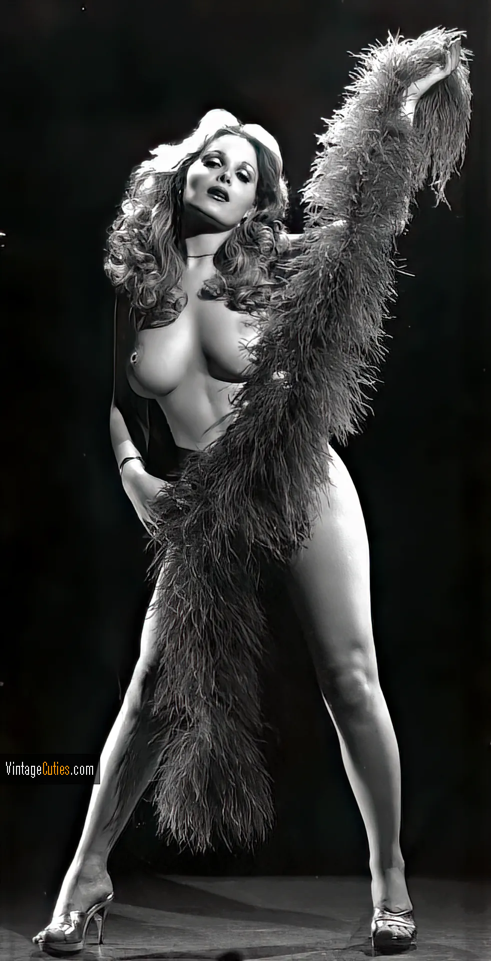 Graceful burlesque beauty with firm breasts covering her pussy