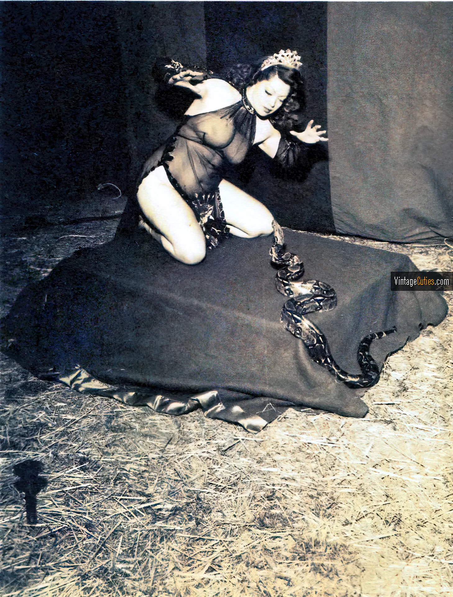 Long-haired vintage brunette in a transparent outfit with a snake