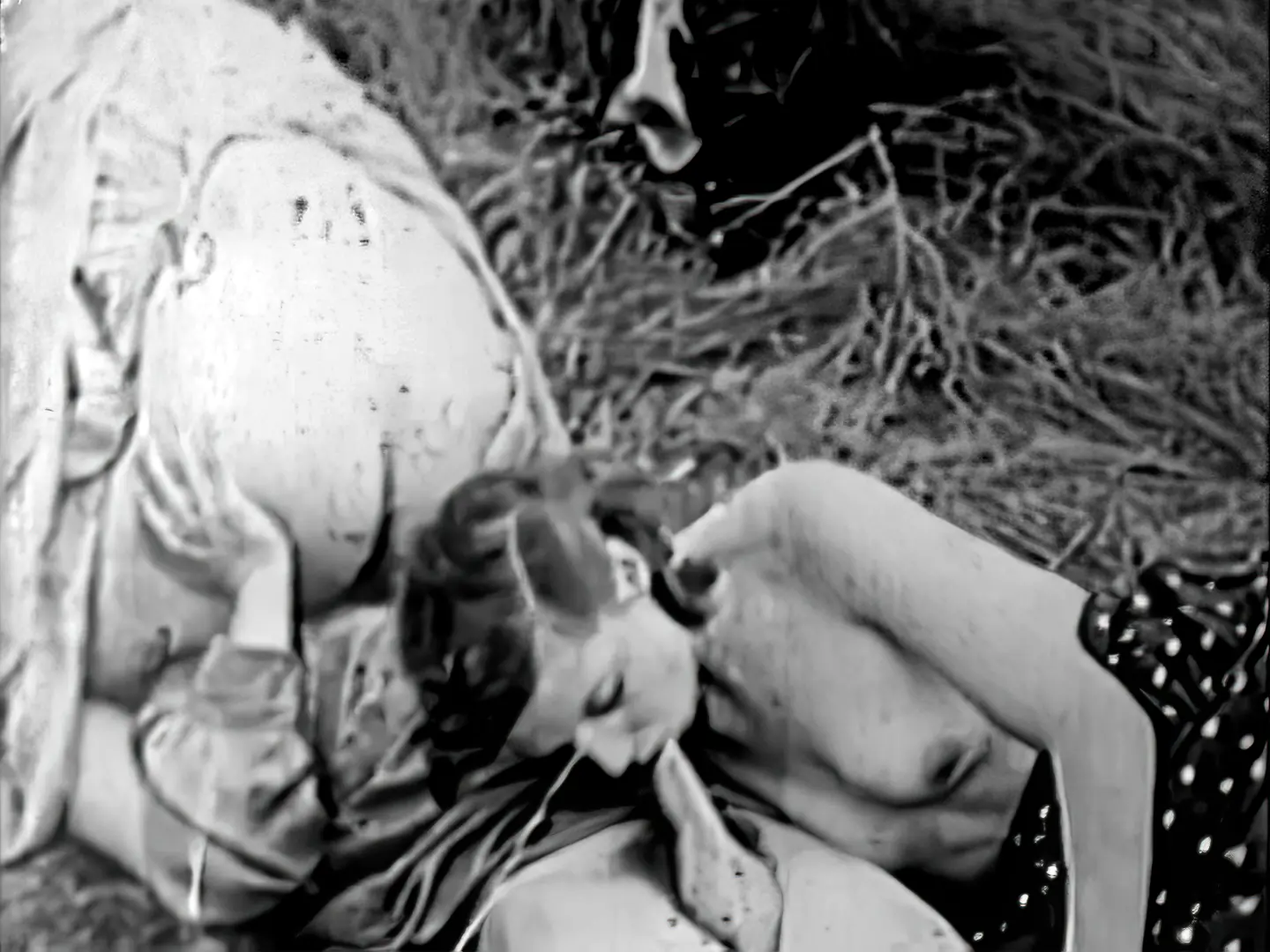 Farmer has a rough sex with 2 girls in a meadow